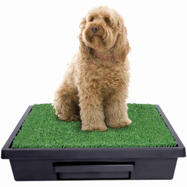The Pet Loo Mini Wee Medium Backyard In A Box [ PWM00-14498 ]