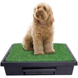 The Pet Loo Mini Wee Medium Backyard In A Box [ PWM00-14498 ]