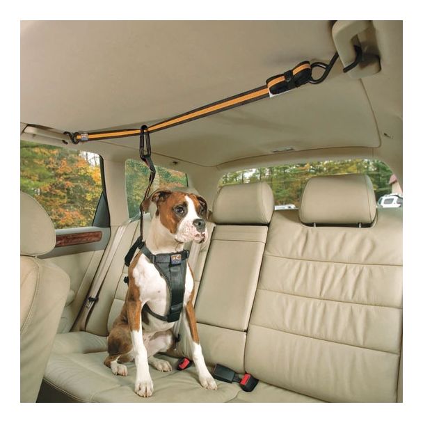 Kurgo Auto Zip Line / Tether for Dog Car Travel [ K00032 ]